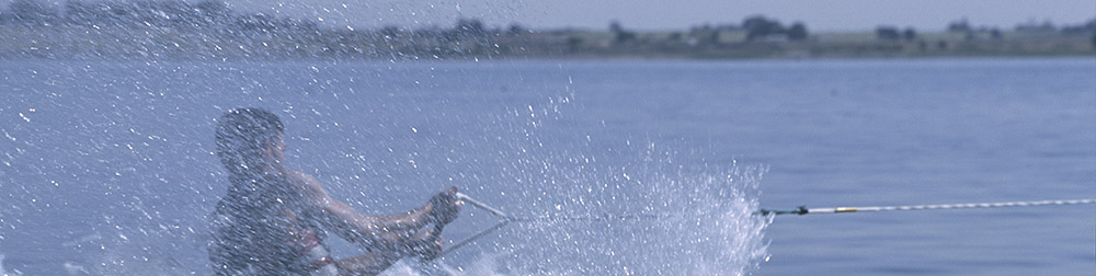 category 8 banner